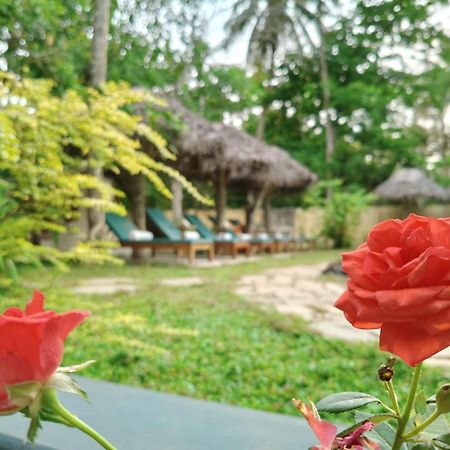 Marari Beach Bungalow Resort Alleppey Марарикулам Экстерьер фото