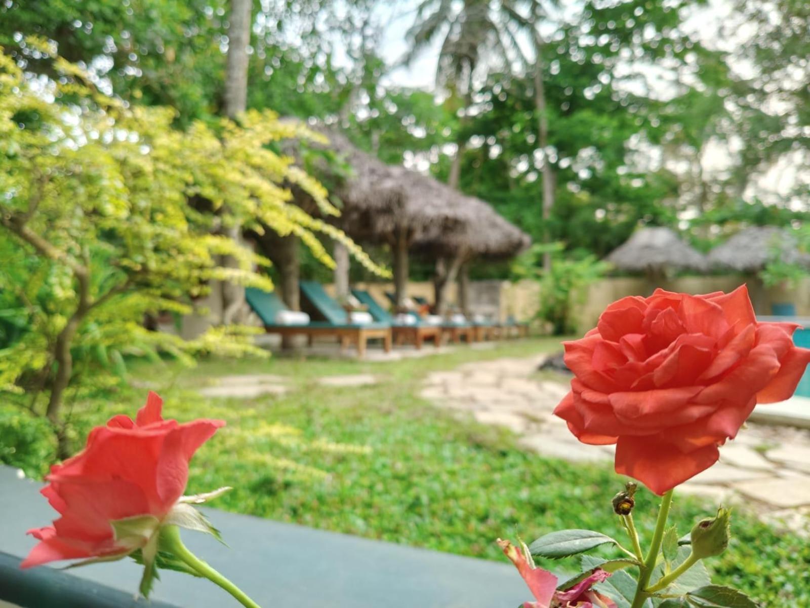 Marari Beach Bungalow Resort Alleppey Марарикулам Экстерьер фото